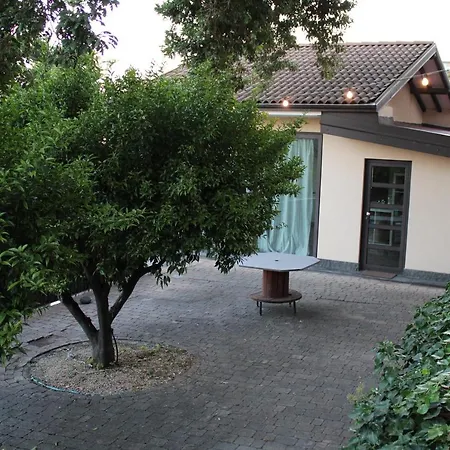 Lily House Villa *